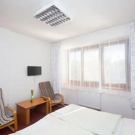 Guest house Hajenka *